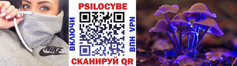 Псилоцибиновые грибы GOLDEN TEACHER  МЕГА ТОР  Шенкурск 